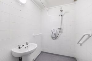 Photo 15- click for photo gallery